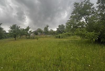 Spațiu comercial, în Preluca Veche - 2
