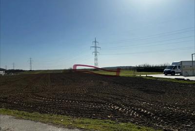 Teren de 3000 mp, în Movila (Niculești) - 5