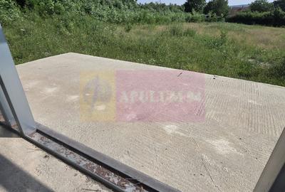 Casă individuală cu 3 camere cu Canalizare în Brebu - 4