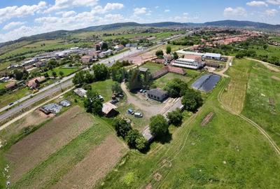 Teren de 7929 mp, în Daneș - 1