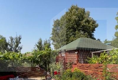 Casă cu 4 camere cu Teren 2853 Mp în Cotu