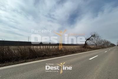 Teren Construcții intravilan de 1300 mp, în Căciulești