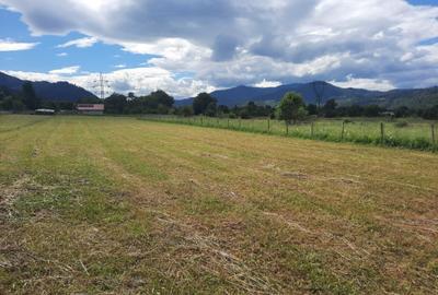 Teren intravilan de 4835 mp, în Alexandru cel Bun