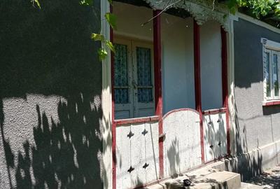Casă cu Teren 4800 Mp în Mihail Kogălniceanu - 4