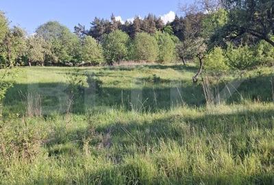 Teren de 10000 mp, în Tărlungeni - 2