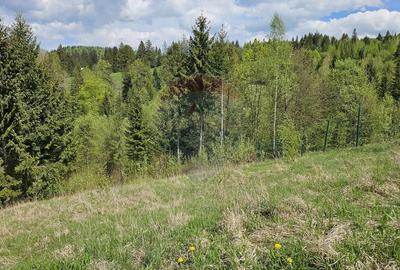 Teren agricol intravilan de 4048 mp, în Periferie - 9