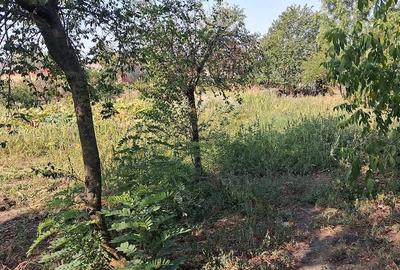 Casă cu 2 camere cu Teren 1000 Mp în Valea Mare