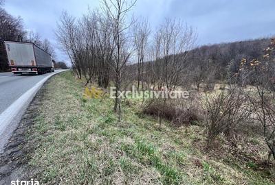 Teren de 6500 mp, în Morărești