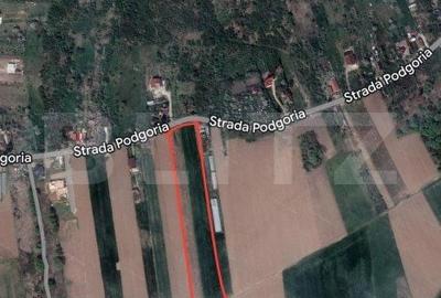 Teren de 8600 mp, în Podgoria - 1