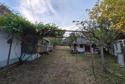 Casă cu Teren 800 Mp în Dăbâca - 7