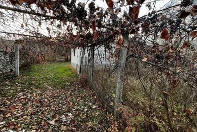 Casă cu 1 camere cu Teren 1341 Mp în Central - 5