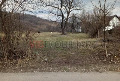Teren intravilan de 2898 mp, în Brebu Mânăstirei - 4
