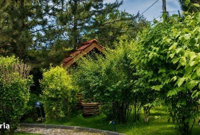 Casă cu 4 camere decomandat în Săftica - 11