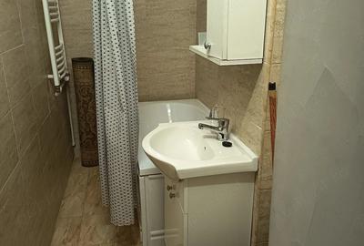 Apartament cu 2 camere semidecomandat în Craiovița Nouă - 3