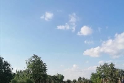 Teren de 1500 mp, în Păltinișu