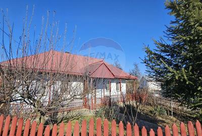 Casă cu 3 camere cu Teren 4900 Mp în Central