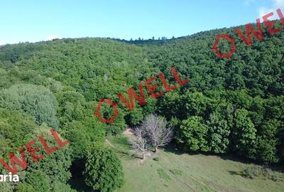 Teren de 98200 mp, în Moacșa - 11