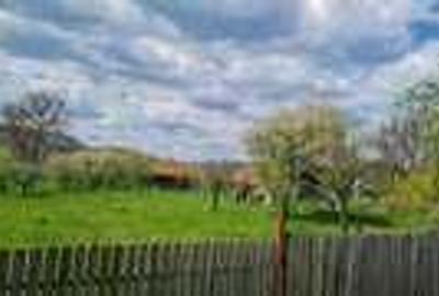 Casă cu 4 camere în Albești - 3