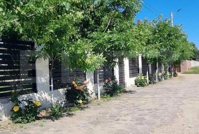 Casă cu 4 camere cu Teren 354 Mp în Malu Mare