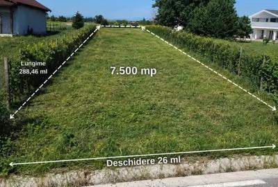 Teren de 12500 mp, în Lămotești
