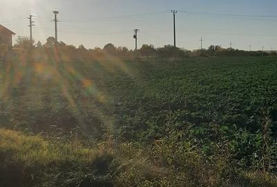Teren de 2678 mp, în Remuș