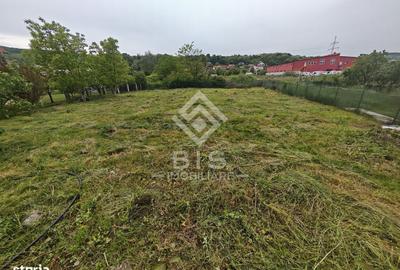 Spațiu comercial, în Viișoara - 3