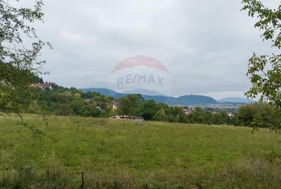 Teren Construcții intravilan de 3175 mp, în Cernatu - 6