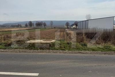 Teren de 1600 mp, în Pătrăuți - 1