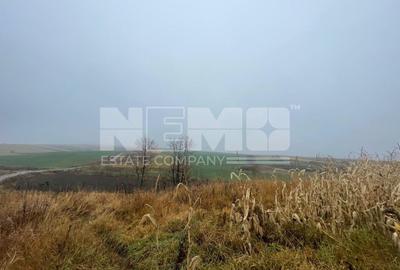 Teren agricol extravilan de 28400 mp, în Dărmănești - 4