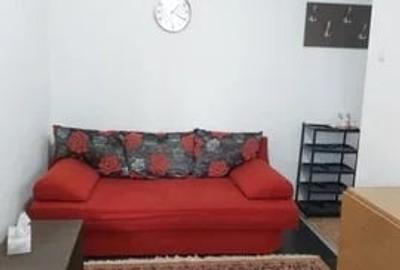 Apartament cu 2 camere semidecomandat, mobilat în Tătărași - 3