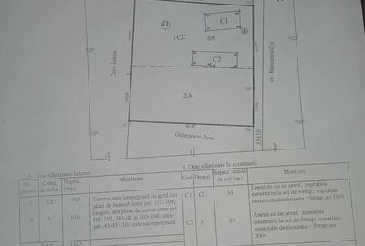Casă cu Teren 1323 Mp în Bârca - 9