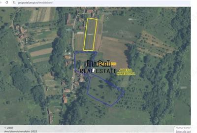 Casă cu Teren 9223 Mp în Baia de Criș - 13