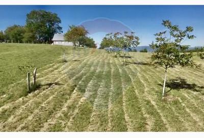 Teren agricol intravilan de 20170 mp, în Șuncuiuș - 13