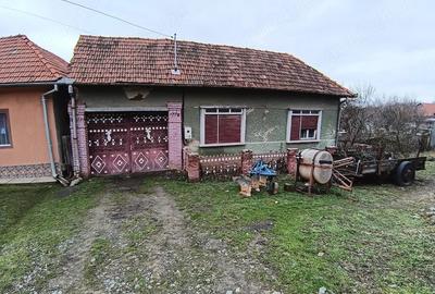Casă cu Teren 1500 Mp în Dubești
