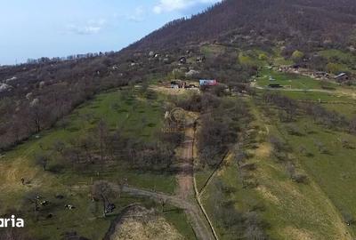 Teren de 10000 mp, în Central