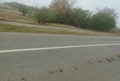 Teren de 3573 mp, în Lacu Turcului