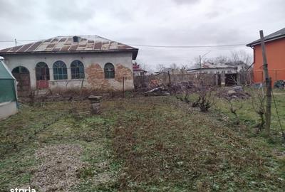 Spațiu comercial, în Coșoveni - 5