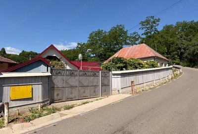 Casă cu 2 camere cu Teren 720 Mp în Dărmăneasca - 4