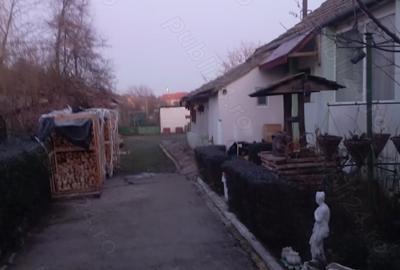 Casă cu 6 camere cu Teren 3100 Mp în Pișchia - 10