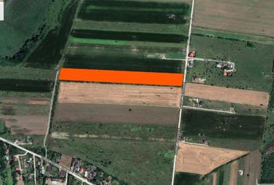 Teren Construcții intravilan de 25000 mp, în Periș - 1