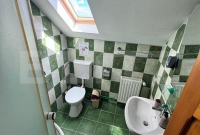 Casă individuală cu 11 camere cu Garaj în Glăjărie - 20