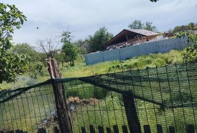 Casă cu 4 camere cu Teren 741 Mp în Podari - 18