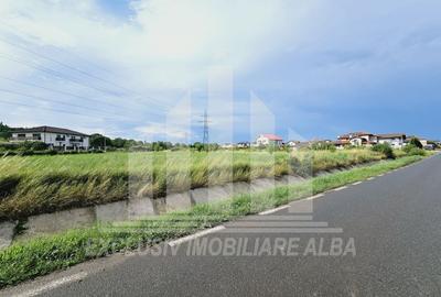 Teren Construcții intravilan de 5998 mp, în Cetate - 2