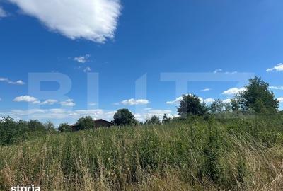 Teren de 700 mp, în Cetate