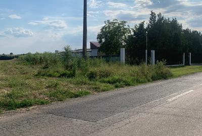 Teren Construcții intravilan de 3487 mp, în Petrăchioaia - 6