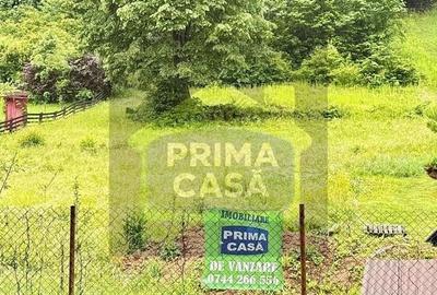 Teren Construcții intravilan de 6200 mp, în Tăuții-Măgherăuș
