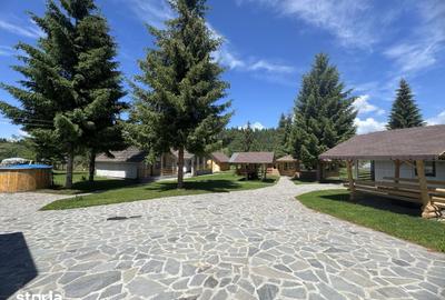 Teren de 9550 mp, în Dorna Candrenilor - 3