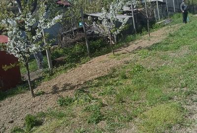 Casă cu 2 camere cu Teren 2500 Mp în Bogați - 5