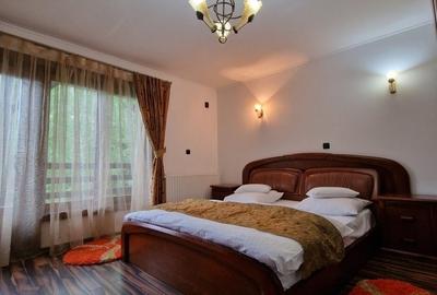 Hotel/Pensiune, de 20 mp, în Câineni - 20