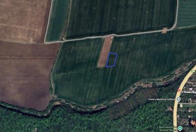 Teren Construcții intravilan de 3293 mp, în Snagov - 1